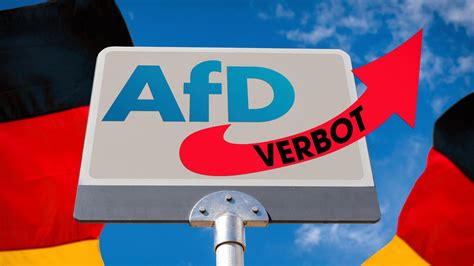 Staatsrechtler Verbotsverfahren Gegen Einzelne Afd Landesverb Nde