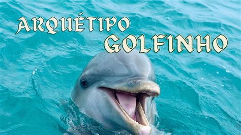 Arqu Tipo Golfinho Alegria Amor Incondicional E Intelig Ncia Youtube