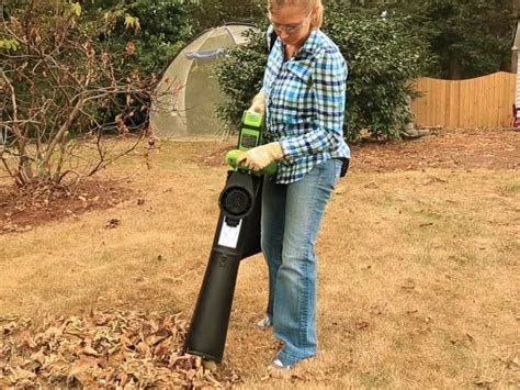 6 Best Cordless Leaf Vacuums In 2024 Detailed Reviews