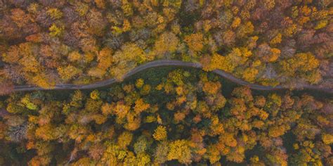 O Ujka Svjetski Dan Uma Zagorje Priroda