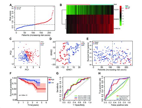 Validation Of The Prognostic Prediction Accuracy Of The Signature In