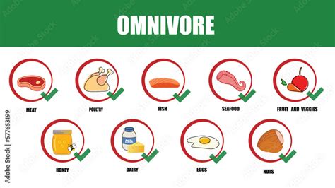 Omnivore. Types of diets and nutrition plans from weight loss ...