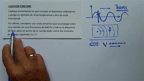 Movimiento Ondulatorio Descripci N Y Ejemplo De Onda Transversal Y