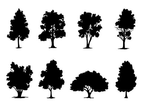 Black Branch Tree Or Naked Trees Silhouettes Hand Drawn Isolated