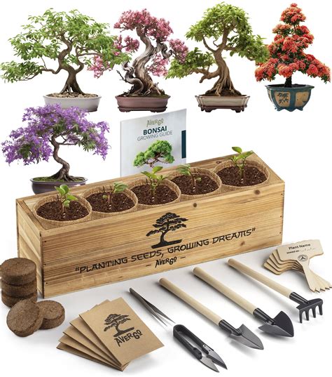 Avergo Bonsai Tree Kit 5x Unique Japanese Bonzai Trees Complete