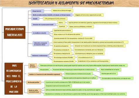 Mapa Conceptual Microbiolog A Mycobacterium Mar Vel Udocz