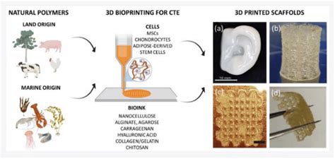 A Review On Biopolymer Based Bioinks For 3d Bioprinting Medcrave Online