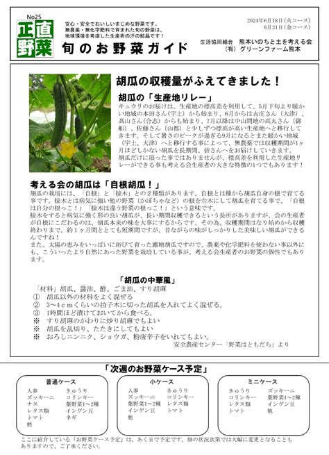 今週の野菜ケース 6月18日・21日配送分 熊本いのちと土を考える会