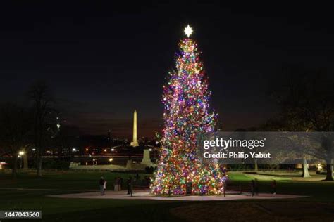 Washington Dc Christmas Lights Photos and Premium High Res Pictures ...