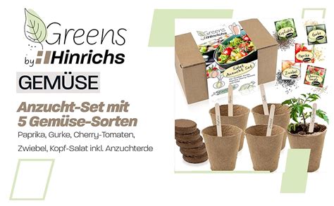 Hinrichs Greens Gem Se Anzucht Set Salat Anzuchtset Gem Sesorten