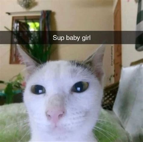 A Close Up Of A Cat With The Caption Sup Baby Girl