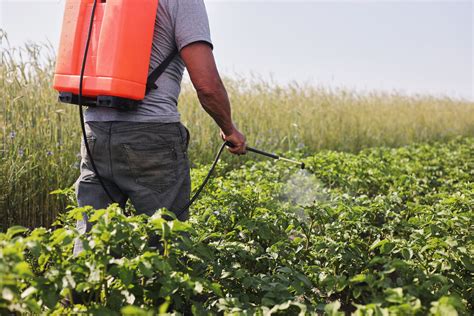 Inocuidad Alimentaria Y Cómo Prevenir Las Plagas