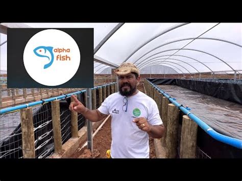 Cria O De Peixes Bioflocos Super Intensivo Em Tanques Retangulares