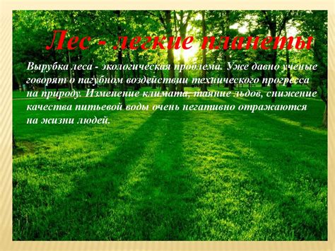 Лес - наше богатство. Сохраним его для потомков! - online presentation
