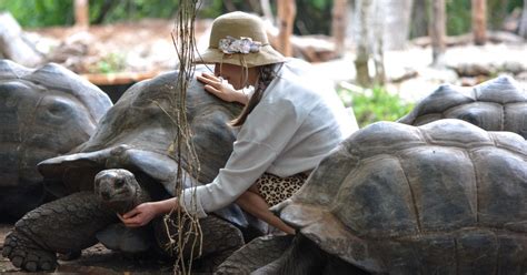 Sansibar Gefängnisinsel Schildkröten und Gewürze Halbtagestour