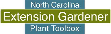 Growing The Extension Gardener Plant Toolbox NC State Extension