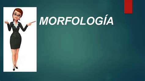 SOLUTION La Morfolog A 2 Studypool