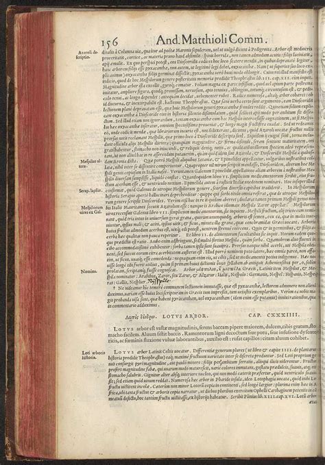 Petri Andreae Matthioli Senensis Commentarii Secvndo Avcti In Libros Sex Pedacii