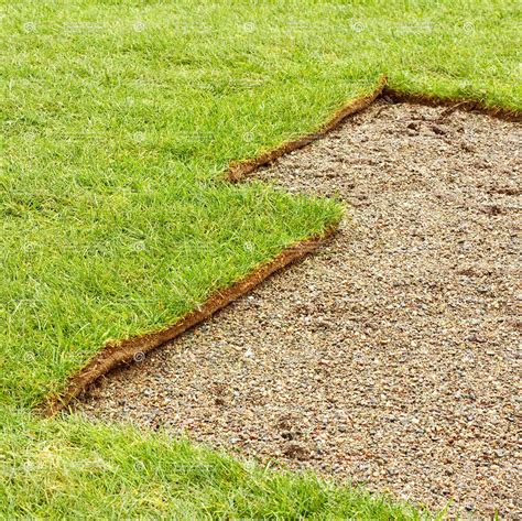 Landscaping Products - Turf For Sale - Regal Turf - Eurogreen