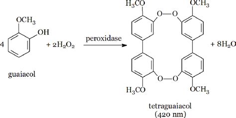 Oxidation Of Guaiacol To Tetraguaiacol Reaction Catalyzed By