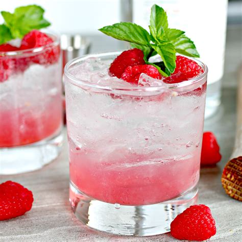 Refreshing Raspberry Gin Fizz Cocktail