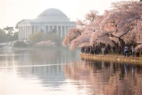 Monuments of the Tidal Basin // DC Cherry Blossoms