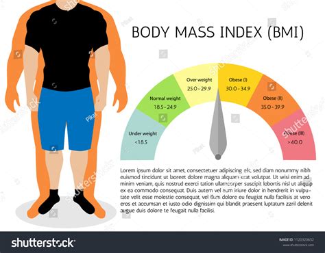 Bmi Body Mass Index Infographic Chartvector Stock Vector (Royalty Free ...