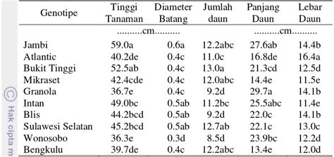 Karakterisasi Morfologi Beberapa Genotipe Kentang Solanum Tuberosum