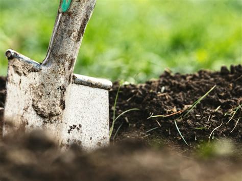 Water Afvoeren In Je Tuin Zonder Riool Zo Doe Je Dat Hallo Groen