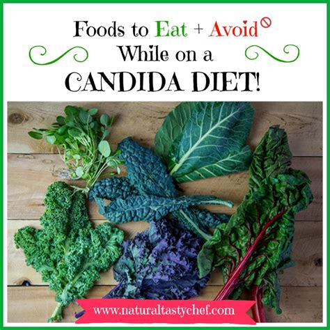 Foods To Eat And Avoid While On A Candida Diet Natural Tasty Chef