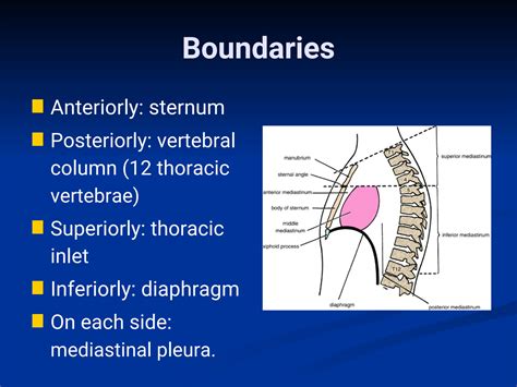 Superior Mediastinum Boundaries