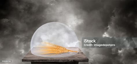 Global Food Scarcity Concept Stock Photo - Download Image Now ...