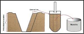 Conceptos De Utilidad Para Lograr Un Correcto Muestreo De Suelos Engormix
