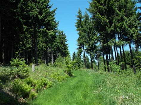 Wandern Damberg Schwarzberg Tour