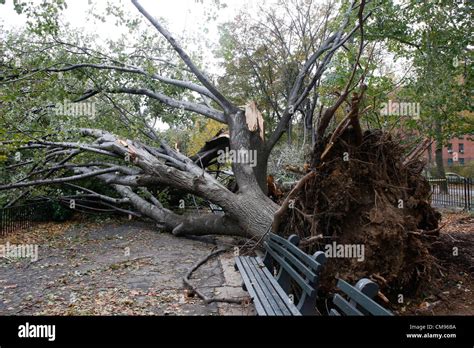 October,31st, New York, NY, USA : Damage caused by hurricane Sandy in ...