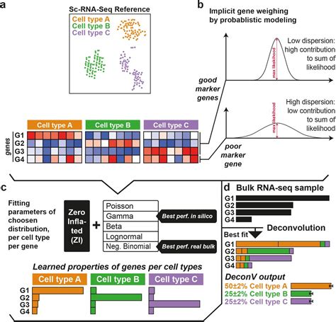 Deconv Probabilistic Cell Type Deconvolution From Bulk Rna Sequencing