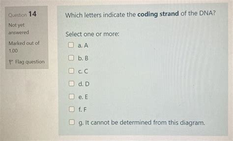 Solved Question 12 Not yet Use this diagram of an RNA | Chegg.com 