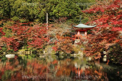 【京都府 紅葉した醍醐寺弁天堂】の画像素材70604126 写真素材ならイメージナビ