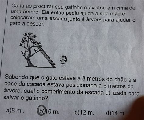 Solved Carla Ao Procurar Seu Gatinho O Avistou Em Cima De Uma Rvore