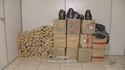 Guarda Municipal apreende mais de 400 kg de maconha em Araras SP São