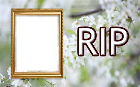 RIP Design Template | Pixiz