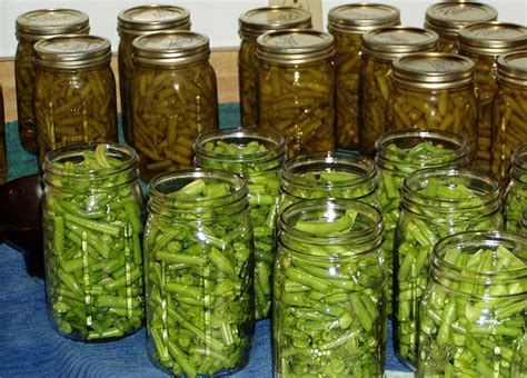 How The Pickling Process Works And Why You Need To Know It Pickle Wiki