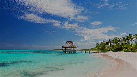 Punta Cana Shore Excursions & Cruise Excursions | Celebrity Cruises