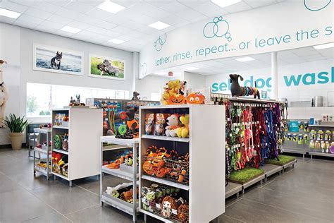 Modern Pets Shop Interior Layout Design Customized Retail Pet Dog