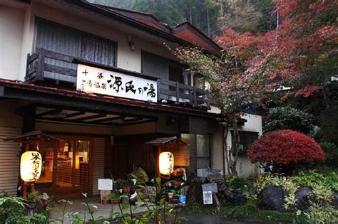 Osaka Nara Park Uji Matcha Todaiji Temple Onsen Day Tour