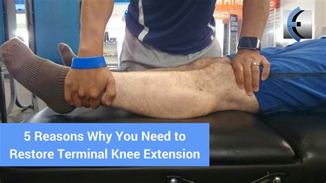 5 Reasons Why You Need To Restore Terminal Knee Extension Modern