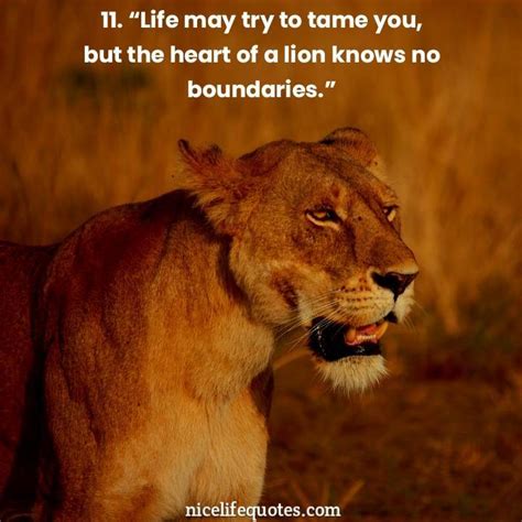 50 Courageous Lion Motivational Quotes to Overcome Obstacles