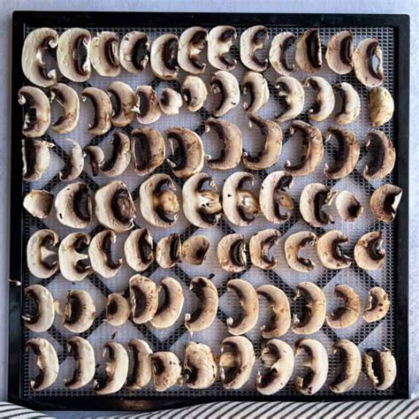 Simple Dehydrated Mushrooms