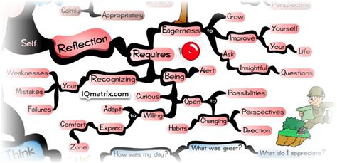 reflection        experience