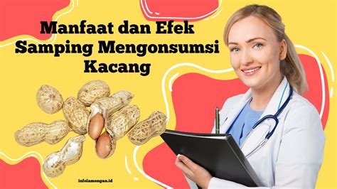 Manfaat Dan Efek Samping Mengonsumsi Kacang Keseimbangan Nutrisi Dan